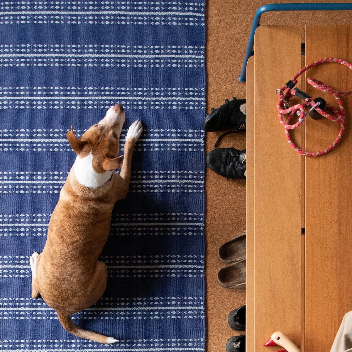 Dog laying on rug.