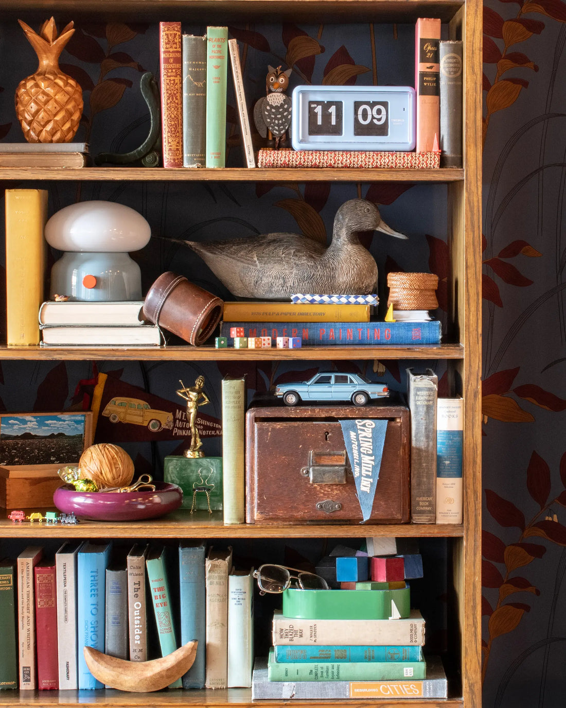 I spy shelfie.