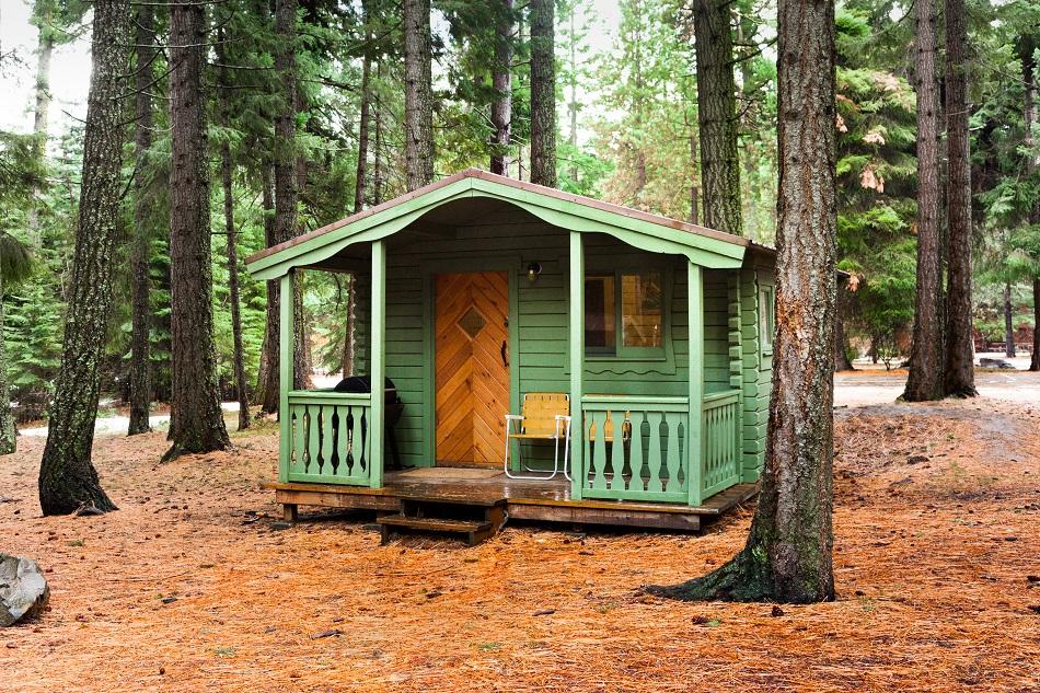 Green cabin on a small porch surrounded by tall pine trees with a carpet of orange-brown pine needles