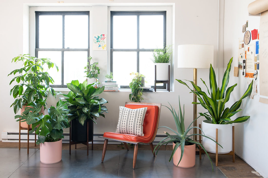 Orange mid-century chair surrounded by potted houseplants in a bright room with a large window