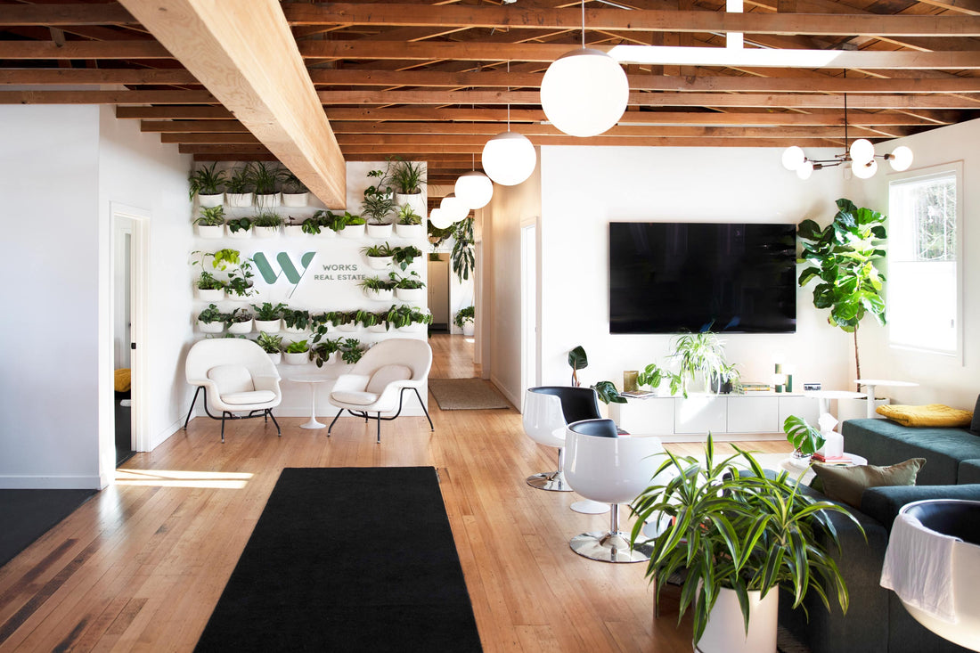 Bright open office lounge with exposed wood beams, living wall of potted plants, large TV and mixed seating