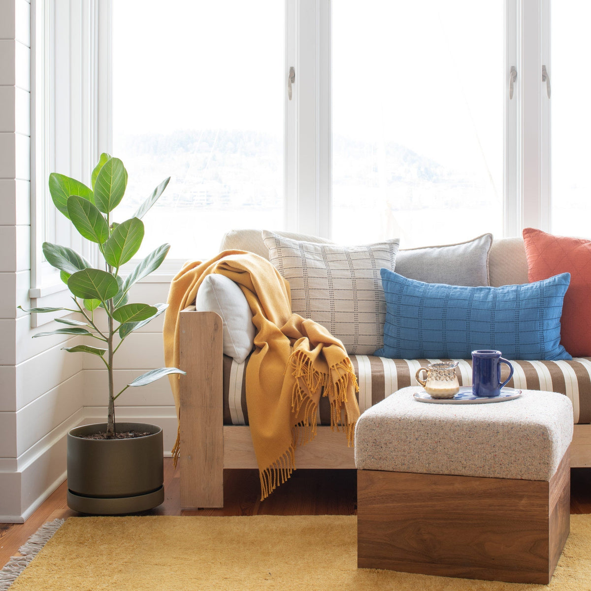 Potted fiddle leaf fig beside a wood-framed couch with mustard throw and colorful pillows in a bright windowed living room
