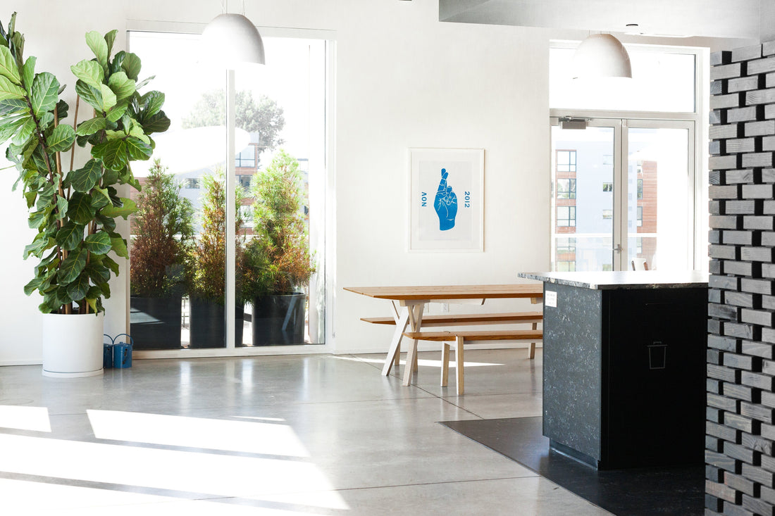 Sunlit modern dining area with wooden picnic-style table and bench, large potted fiddle-leaf fig by floor-to-ceiling windows and framed blue print on white wall