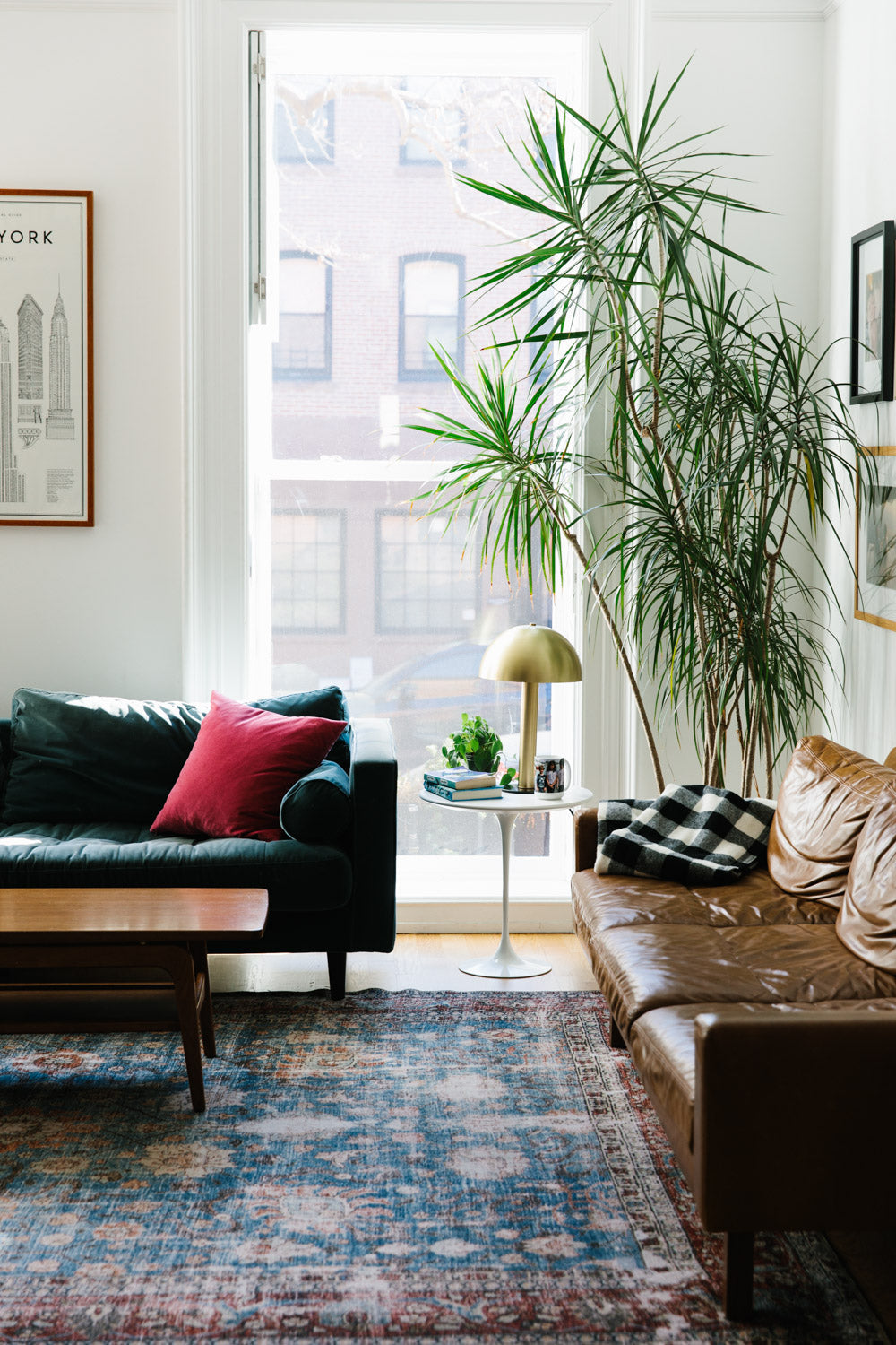 Sunlit living room with green sofa, brown leather couch, white tulip side table and brass lamp, tall potted palm, patterned rug