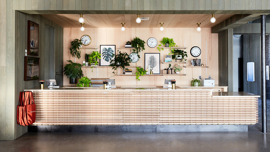 Reception desk with slatted wood front, wall shelves of plants and botanical prints, three clocks, and globe lights