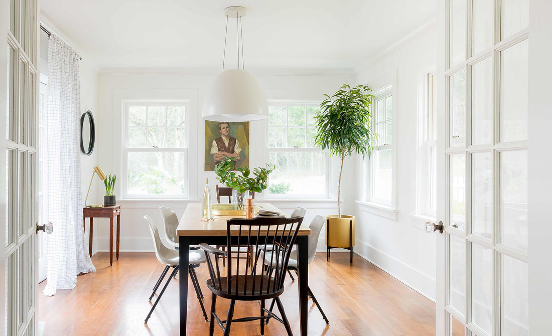 Sunlit dining room with wooden table and mixed chairs, large white pendant light, and a tall potted tree by the windows