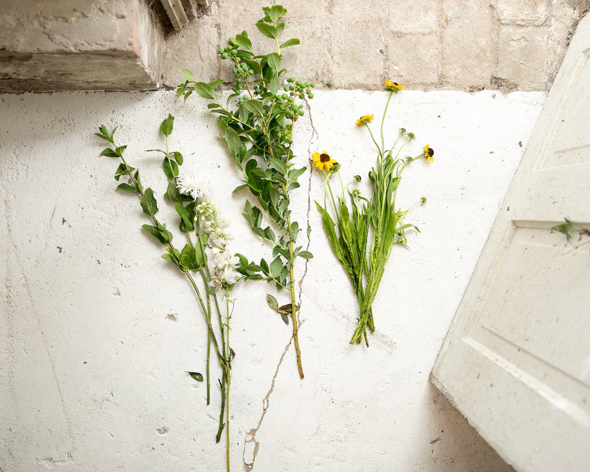 Three foraged flower stems — white spirea, a green-berried branch, and yellow black-eyed susans — laid on a cracked white plaster floor beside a weathered door