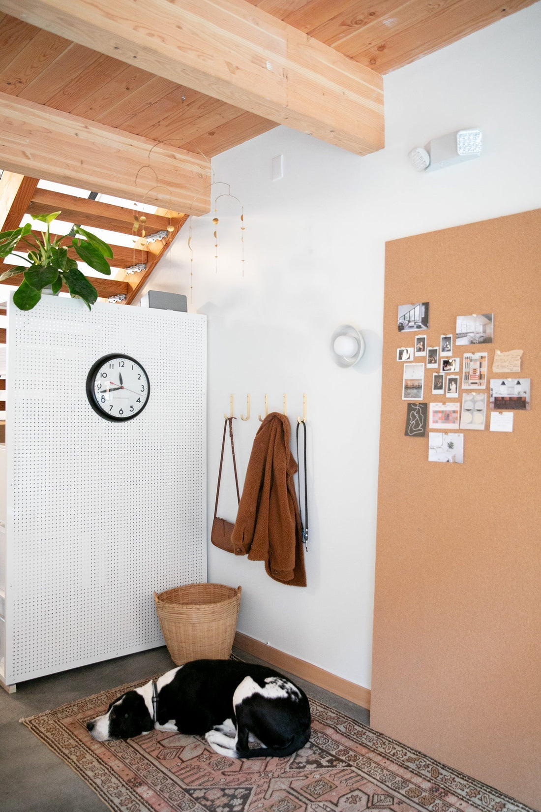 Entryway with pegboard cabinet, wall hooks and cork bulletin board, a potted plant, and a black-and-white dog sleeping on a rug beneath exposed wooden ceiling beams