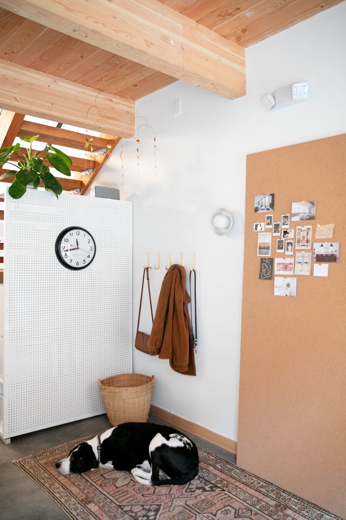 Entryway with pegboard cabinet, wall hooks and cork bulletin board, a potted plant, and a black-and-white dog sleeping on a rug beneath exposed wooden ceiling beams