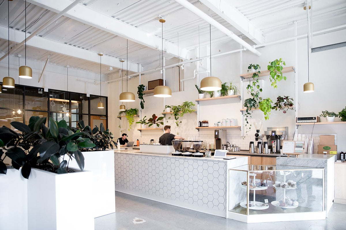 Barista preparing espresso behind a white honeycomb-tiled counter in a bright, plant-filled modern coffee shop