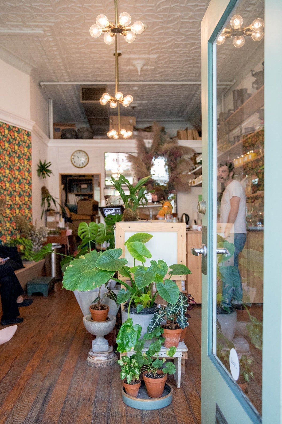 Open-door view of a cafe-florist with potted plants in front and a staff member at the counter under brass chandeliers