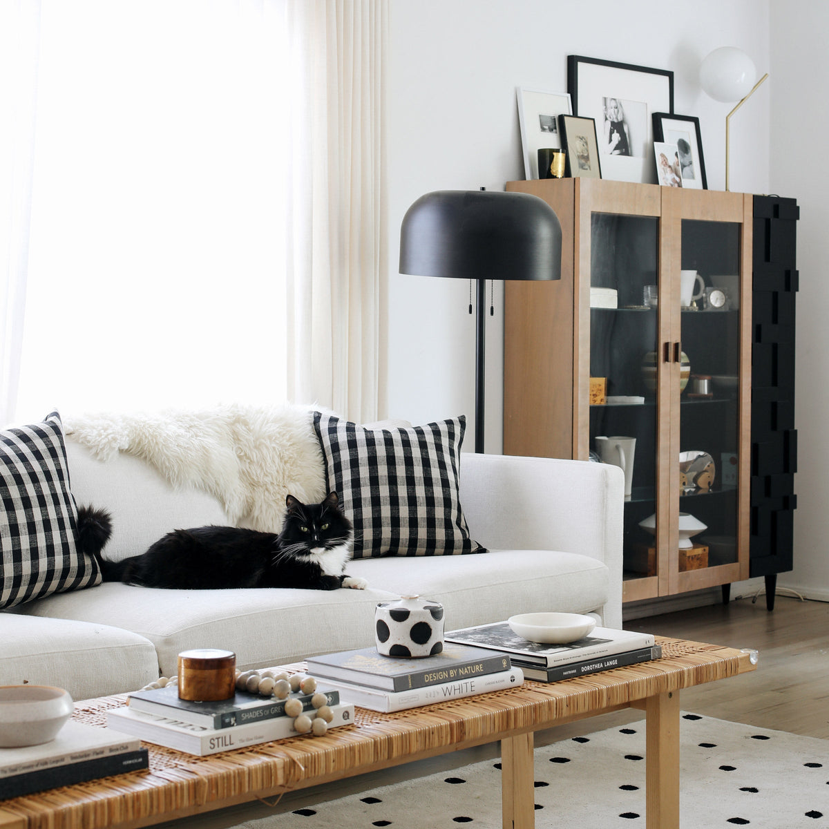 Black and white cat lounging on a white sofa in a bright living room with buffalo-check pillows, a woven coffee table, and a wooden display cabinet