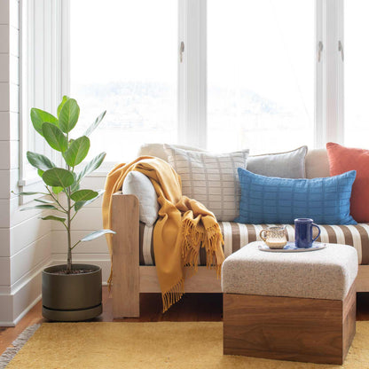 Sunlit corner showing Mesa Wool Rug under a wooden daybed with striped cushions, mustard throw, and potted fiddle leaf fig