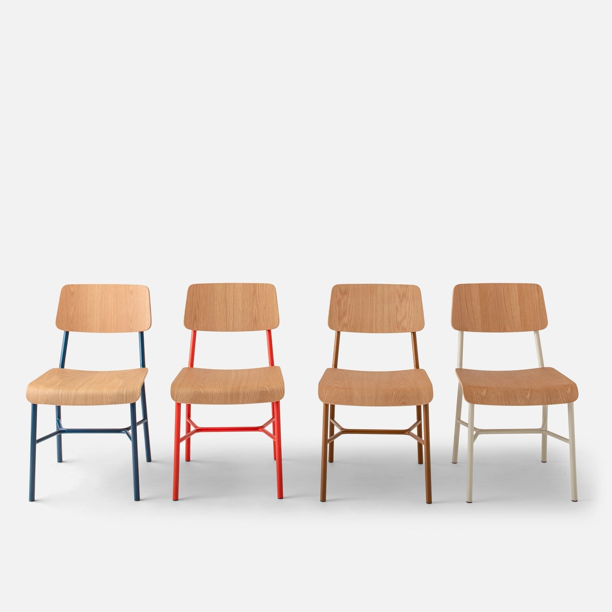 Front view of four Cole Dining Chairs with contoured oak seats and colored powder-coated frames on a light gray background