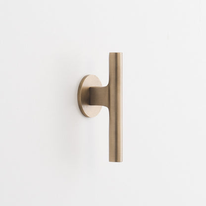 Angled close-up of Galley Pull showcasing natural brass tubular handle and round mounting plate on white background